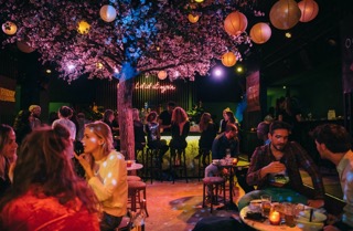 Cocktails & Nightlife